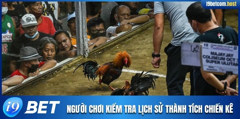 Người chơi kiểm tra lịch sử thành tích chiến kê